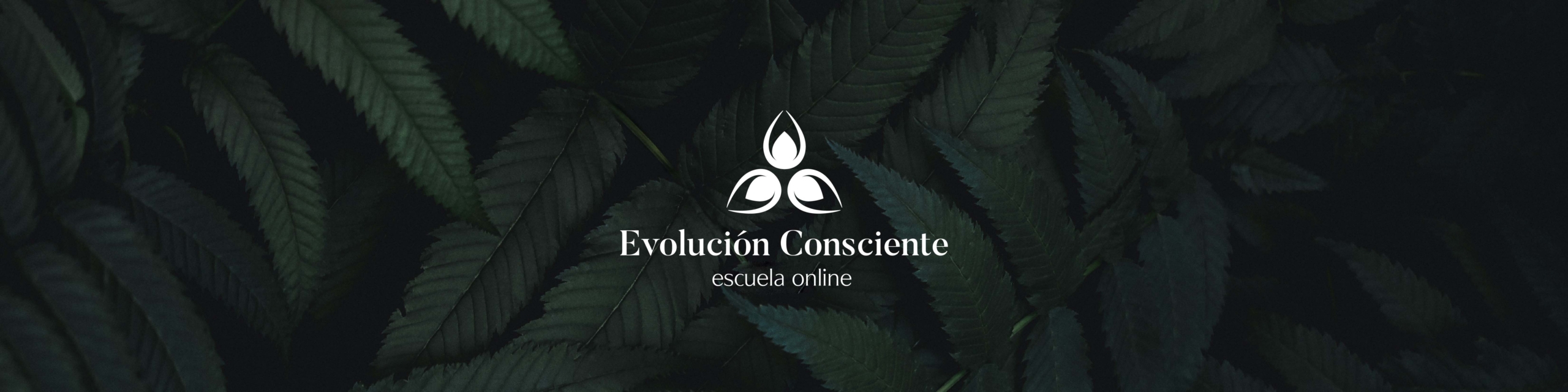 Escuela Online Banner