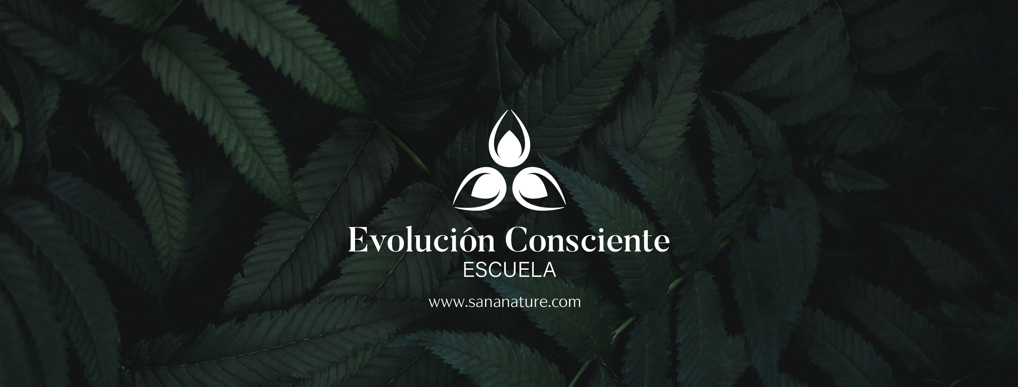 Escuela Evolucion Consciente Online