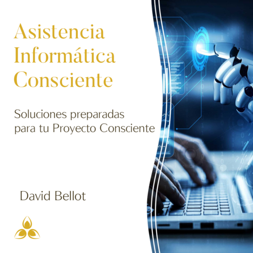 Informático Consciente